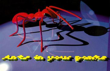 Ants in Your Pants flyer, Arizona, c. 1997